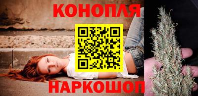 сатива Кинель