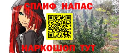 mdpv Кингисепп