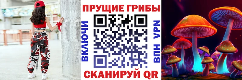 мега Краснокаменск Псилоцибиновые грибы MAGIC MUSHROOMS