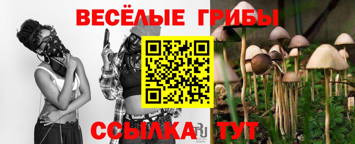 Галлюциногенные грибы мицелий  что такое   Краснокаменск  Вход с VPN 